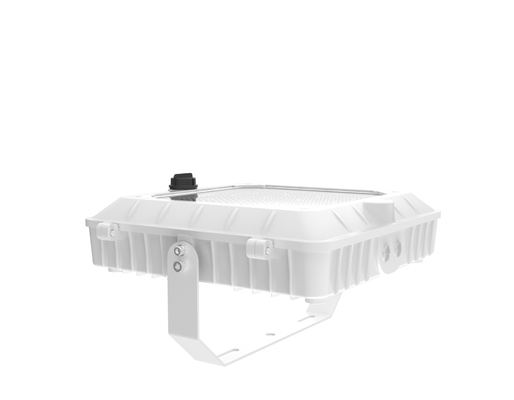 কেনা 120-277V 50/60Hz ইনপুট ভোল্টেজ এলইডি ক্যানোপি লাইট সহ এবং ইমপ্যাক্ট রেজিস্ট্যান্স আইকে 07 সাদা রঙে অনলাইনে উৎপাদন