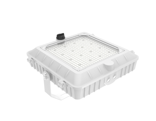 বাণিজ্যিক ভবনগুলির জন্য 150W একটি স্তর LED পার্কিং গ্যারেজ ডানপি লাইট